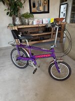 IMG_5488.jpeg