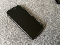 IMG_3091.jpeg
