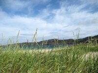 2008_06 Schottland130 - Copy.jpg