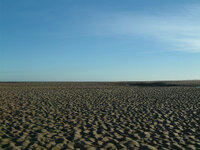 DSCF0046-1.jpg
