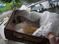 IMGP2739 (Small).JPG