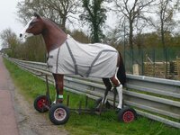 LE MANS 3.JPG