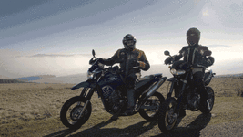 03.gif