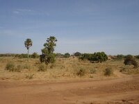 DSC03211.jpg