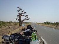 DSC03190.jpg