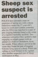 sheep.jpg