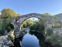 IMG_1772.jpeg