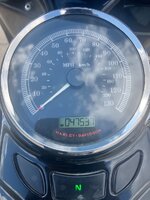 IMG_9120.jpeg