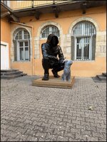 1790087417882.jpg 1790087417882.jpg