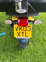 IMG_0008.jpeg