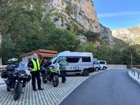 IMG_7782.jpeg