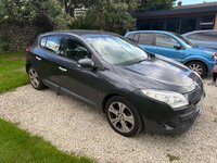 IMG_4198.jpeg