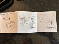 IMG_2356.jpeg