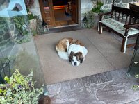 IMG_7807.jpeg