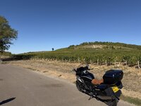 IMG_0224.jpeg IMG_0224.jpeg
