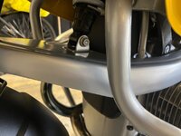IMG_1337.jpeg