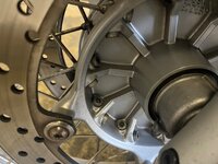 IMG_1341.jpeg