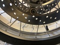 IMG_1346.jpeg