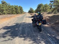 IMG_7877.jpeg