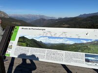 IMG_7871.jpeg