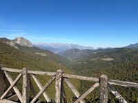 IMG_7864.jpeg