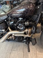 IMG_2205.jpeg