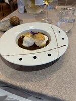 IMG_0231.jpeg IMG_0231.jpeg