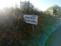 20260926_093148.jpg