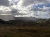 IMG_2626.jpeg IMG_2626.jpeg