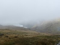 IMG_2643.jpeg IMG_2643.jpeg