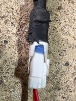 IMG_4294.jpeg