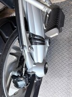 IMG_8769.jpeg