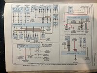 IMG_7633.jpeg