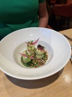 IMG_0272.jpeg IMG_0272.jpeg