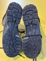 IMG_2991.jpeg