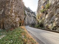 IMG_8056.jpeg