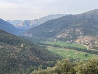 IMG_8032.jpeg