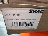 shad 1.jpg