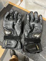 IMG_5882.jpeg
