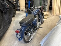 IMG_3298.jpeg IMG_3298.jpeg