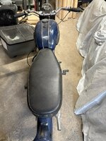 IMG_3301.jpeg IMG_3301.jpeg