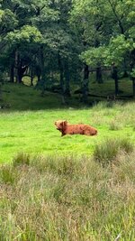 IMG_6460.jpeg