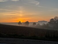 IMG_8192.jpeg