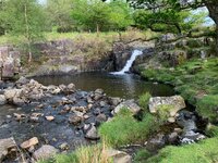 IMG_4793.jpeg