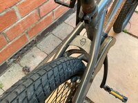 IMG_1491.jpeg IMG_1491.jpeg