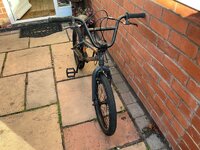 IMG_1493.jpeg IMG_1493.jpeg
