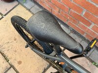 IMG_1494.jpeg IMG_1494.jpeg