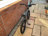 IMG_1495.jpeg IMG_1495.jpeg