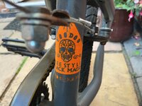 IMG_1497.jpeg IMG_1497.jpeg