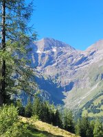 20260904_101609.jpg